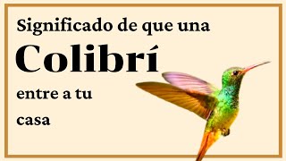 Significado Colibrí en tu casa colibriencasa colibrienhogar [upl. by Aitnuahs156]