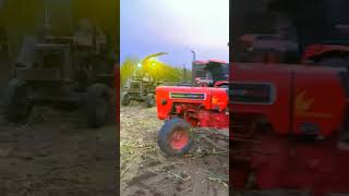 Makki da achar pon wali machine 🌽🌽 2024 shorts sohifarming shortvideos [upl. by Cutlerr900]