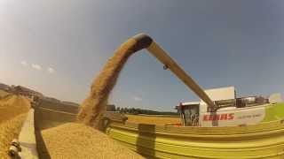 Claas Lexion 540 drischt Gerste 2013 HD [upl. by Jonati]