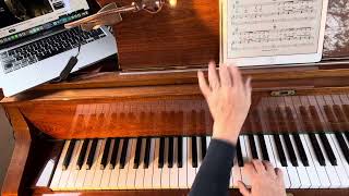 Taylor Swift Champagne Problems Piano tutorial [upl. by Torres637]