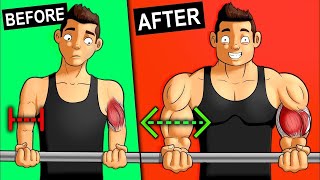 Best Bicep Exercises You Should Be Doing Dumbbell Only [upl. by Ysdnil]