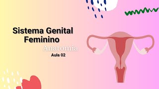 SISTEMA GENITAL FEMININO  Anatomia do Útero  Medicina Curso superior [upl. by Drahnreb]