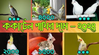 ককাটেল পাখির দাম ২০২৪  কত টাকায় কোকটেল পাখি পাওয়া যায়  cocktail bird price in Bangladesh [upl. by Merriman]