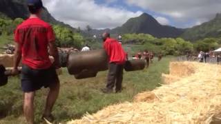 Gladiators spartan race Hawaii 2013 [upl. by Krasnoff982]