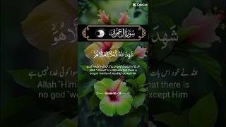 Surat ul Imran foryou shots youtubeshorts viralshort quranpak [upl. by Satsoc]