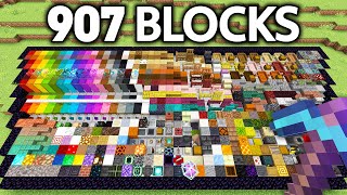 I Got EVERY Block in 24 Hours [upl. by Witte153]