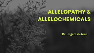 Allelopathy and Allelochemicals Allelopathy weedmanagement [upl. by Kelson191]