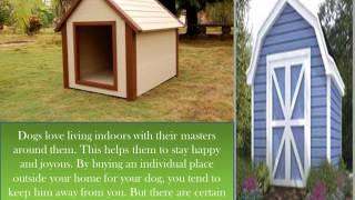 Your pet doesn’t require air conditioned dog houses [upl. by Laersi]