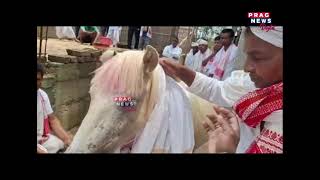 Bizarre White Horse superstition in Gohpurs Jalukbari in Assam [upl. by Ylloj]