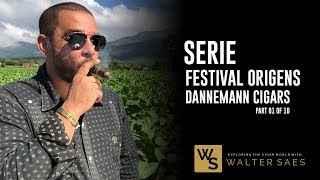 Part 110 Serie Festival Origens 2017 BahiaBrasil  Dannemann Cigars  Charutos [upl. by Nicolle]