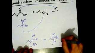 How to Make Amides Mechanism [upl. by Kilk937]