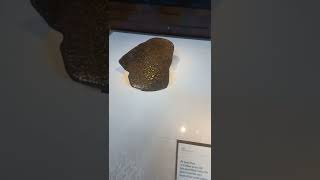 45 Billion Year Old Pallasite Meteorite At The Natural History Museum [upl. by Joana]