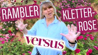 Ramblerrose VS Kletterrose    Erfahren Sie WELCHE Rose SCHÖNER wirkt  RückschnittTiPPs [upl. by Raychel]