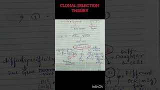 Learn Clonal Selection Theory In just 15 sec😮🔥csirnet lifescience shorts [upl. by Epotimet]