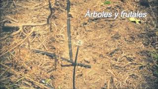 Sistemas de riego para areas verdes canchas cultivos árboles pastos invernaderos y más [upl. by Ultun]