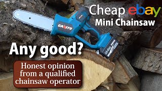 Cheap ebay Mini Chainsaw Any good Unbiased Review by somebody who knows what hes talking about [upl. by Rebna481]