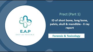 Part 1  Practical  ID of short bone long bone pelvis skull amp mandible  X ray report [upl. by Slemmer]