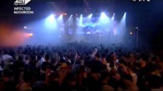 Infected mushroom Live 2007 Tel Aviv [upl. by Nonnerb]