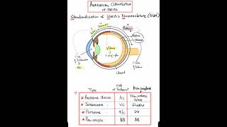 Anatomical Classification of Uveitis Shorts [upl. by Nosittam]