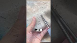 Efficient Electric Poultry Feather Plucker A StepbyStep Guide😅😅 wildanimalfacts facts [upl. by Pedro]