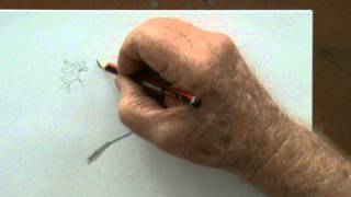 How to draw step by step pencil drawing lessons [upl. by Secilu]