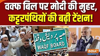 PM Modi Statement On Waqf Board वक्फ बिल पर मोदी की मुहरउलेमा बोर्ड बेचैन  Maharashtra Election [upl. by Burn9]