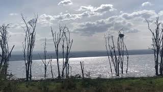 Exploring Nakuru Kenya  Visiting Lake Nakuru National Park [upl. by Acila]