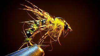 Seed Bead Caddis Emerger [upl. by Enegue744]