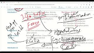 Important cytokines part1  immune response Immunology first Aid lectures lec15 drjamillectures [upl. by Eigriv637]