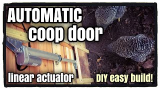 Automatic Chicken Coop Door DIY Easy Build [upl. by Essej]