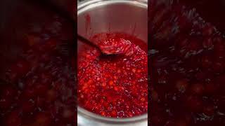 Брусничный соус к мясу 🥣lingonberry sauce [upl. by Rodina897]