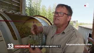 Reportage France 2 sur les Vins Naturels  lespeauxdevins com [upl. by Leilani]