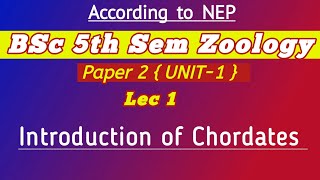 Introduction of Chordats  Origin of chordates  Origin of chordates and hemichordates Zoology 2nd [upl. by Annyl831]