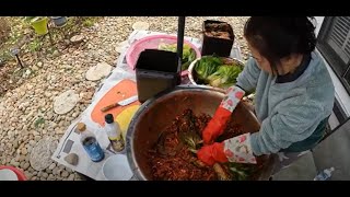 The Best KIMCHI Real Korean Recipe with Korean Chef So Good [upl. by Ailet]