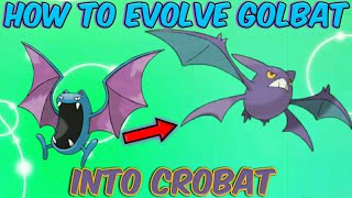 How To Evolve Golbat Into Crobat Pokemon HeartGold [upl. by Ginny]