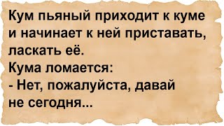 Кум пожалуйста ну давай не сегодня [upl. by Retsim]