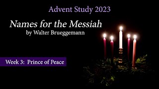 Nacoochee Presbyterian Church  Advent Study 2023 [upl. by Nrehtak]