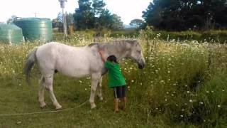 Snow the Maori Cowboy on Blue learning how to get up on his horse [upl. by Aciraj]