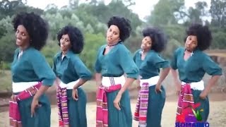 Best Ethiopian Traditional Music 2014 Solomon Demle  Mech Ayeshiwuna [upl. by Dar821]