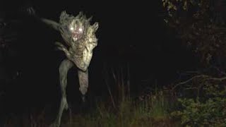 Top 5 Terrifying Cryptid Encounters That REALLY Happened [upl. by Cohligan420]