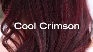 Cool Crimson  How To Create a Deep Red Color Melt without Lightener [upl. by Holle215]