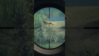 Can The 300 Tactical Take Down A Lion From Over 300 Metres theHunter Call of the Wild [upl. by Materse]