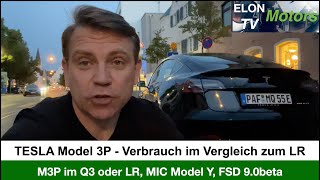 Model 3 PERFO 2021 Mehrverbrauch im Vergleich zum M3 Long Range Model Y MIC uvm [upl. by Britt748]