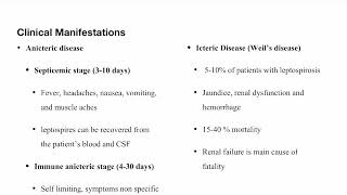 Leptospirosis [upl. by Ahsehyt]