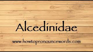 How To Pronounce Alcedinidae  How To say Alcedinidae New Video [upl. by Jezabella]