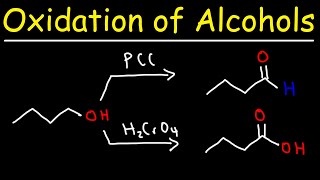 Oxidation of Alcohols [upl. by Rainwater618]