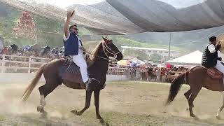 Cabalgata Feria Ganadera Provincial Zamora 2024 [upl. by Ellecrag]