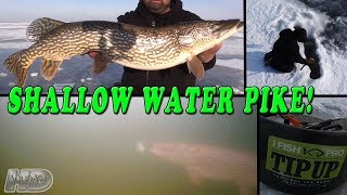 Ice Fishing for Shallow Water Pike [upl. by Gnagflow]