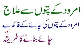 Guava Leaf Benefits By Dr Naveed Health Care  Amrood Ke Patte Ke Fayde [upl. by Ecidnarb746]