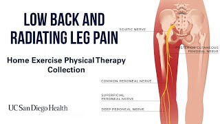 Low Back amp Radiating Leg Pain Home Exercises  UC San Diego Health [upl. by Ymot]